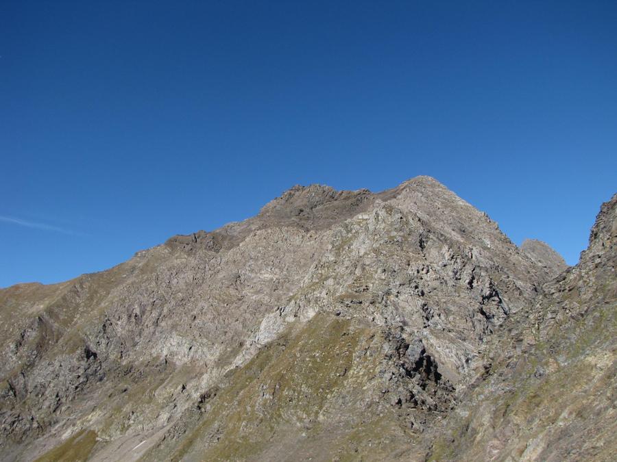 Noccaea corymbosa (=Thlaspi lereschianum) e Papaver alpinum